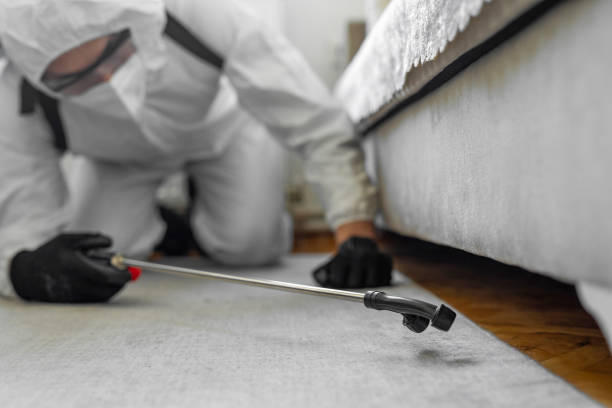 Professional Bed Bug Control technician working in Island County County, WA